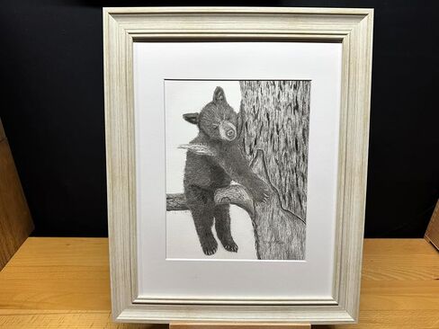 Black Bear Baby Cub Nature Wildlife Graphite Pencil Art Sketch Drawing Print Picture Limited Edition ~ بعنوان "Tree Hugger" بقلم David Allen (8x10 Mat & Print Only) in Saudi Arabia