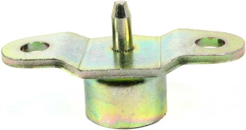 Tailgate Hinge Passenger Right Side for Chevy for S10 1994-2004,for GMC for Sonoma 1994-2004 Hand with Round Head 9603220 15660004 in Saudi Arabia