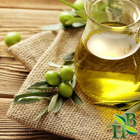 Olive Leaf Powder | Olea Europaea | Wildcrafted | 4oz in Kuwait