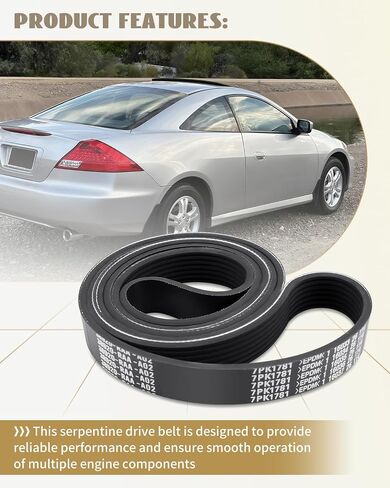 Serpentine Drive Belt Fit for Honda Accord 2.4L 2003 2004 2005 2006 2007, Serpentine Belt Tool Replacement 7PK1785, 38920-RAA-A03, 38920RAAA03 in Saudi Arabia