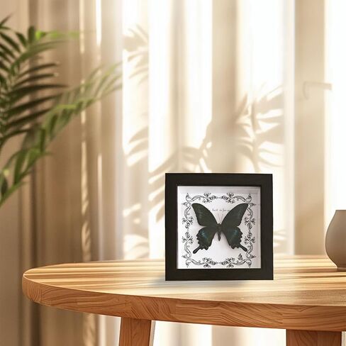 DGFHOB Butterfly Wall Art ، Butterfly Luckidermy ، Decor القوطية للمنزل للتعليق الجدران وديكور المنزل الفني على الطاولة (ذيل ابتلاع أخضر) in Kuwait