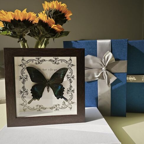 DGFHOB Butterfly Wall Art ، Butterfly Luckidermy ، Decor القوطية للمنزل للتعليق الجدران وديكور المنزل الفني على الطاولة (ذيل ابتلاع أخضر) in Kuwait