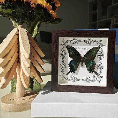 DGFHOB Butterfly Wall Art ، Butterfly Luckidermy ، Decor القوطية للمنزل للتعليق الجدران وديكور المنزل الفني على الطاولة (ذيل ابتلاع أخضر) in Kuwait