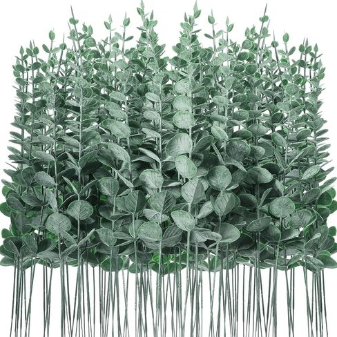 100 pcs eucalyptus سيقان فو فو الأخضر الأوكالبتوس أوراق ديكور ديكور الأخضر ينبع الفرع لحفل الزفاف باقة زهرة المزرعة المنزل (الأخضر الداكن) in Saudi Arabia