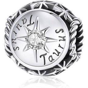 12 Constellation Charms 925 Sterling Silver Crystal Zircon Charms Family and Friends' Birthday Charm Birthstone Charms for Women Bracelets