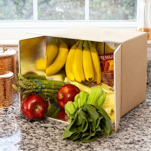 Nice Packs-Insulated Shipping Box-Reusable Cooler Box with Insulation for Frozen Food- Aluminum Moving Box-Frozen Food Cold Box-Dry Cooler Boxes in Saudi Arabia