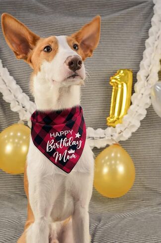 مضحك لطيف القطن الأحمر منقوشة عيد ميلاد سعيد أمي كلب عصابات، أمي الكلب عيد ميلاد مثلث المرايل لمحبي الكلب، الكلب الحيوانات الأليفة عيد ميلاد حزب الدعامة الزينة لوازم الملحقات هدية in Kuwait