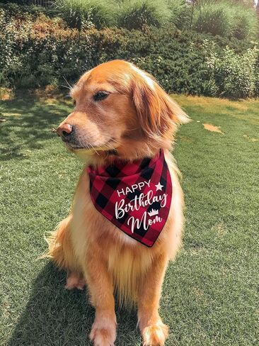 مضحك لطيف القطن الأحمر منقوشة عيد ميلاد سعيد أمي كلب عصابات، أمي الكلب عيد ميلاد مثلث المرايل لمحبي الكلب، الكلب الحيوانات الأليفة عيد ميلاد حزب الدعامة الزينة لوازم الملحقات هدية in Kuwait