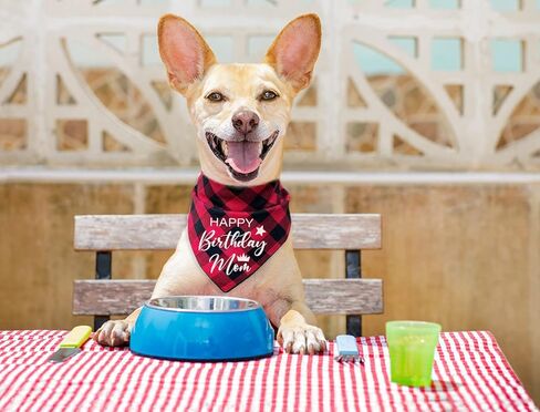 مضحك لطيف القطن الأحمر منقوشة عيد ميلاد سعيد أمي كلب عصابات، أمي الكلب عيد ميلاد مثلث المرايل لمحبي الكلب، الكلب الحيوانات الأليفة عيد ميلاد حزب الدعامة الزينة لوازم الملحقات هدية in Kuwait