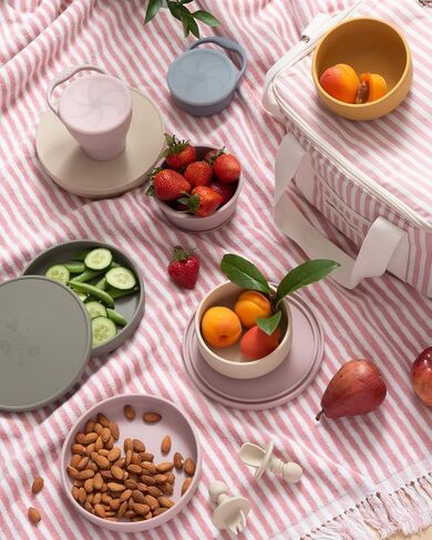Cleo Plate Silicone Plate With Lid Silicone Toddler Plate (Rose) in Saudi Arabia