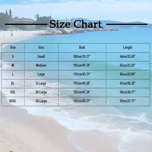 Womens Long Sleeve Pullover Shirts V Neck Lapel Collar Dressy Tops Business Casual Solid Color Work Trendy Blouses in Kuwait