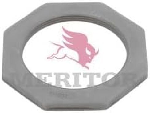 Meritor 1227e1357 Nut Wheel Brg in Saudi Arabia