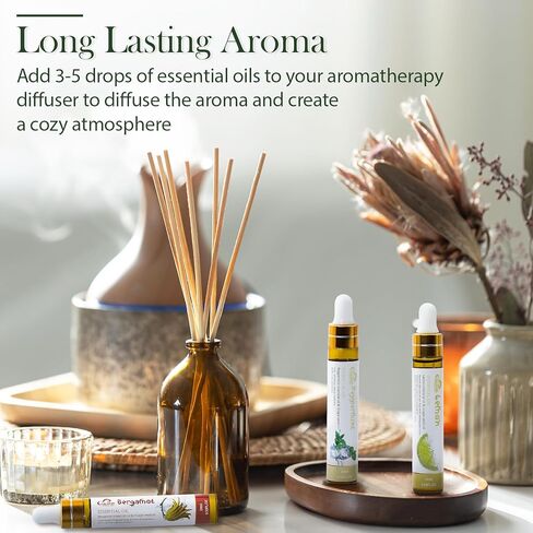 Winter Essential Oil Set,10 Pcs Christmas Holiday Fragrance Oils for Diffusers for Home, Laundry, Candle Making, Aromatherapy - Frankincense, Lavender, Vanilla, Cinnamon, Chamomile and More in Kuwait