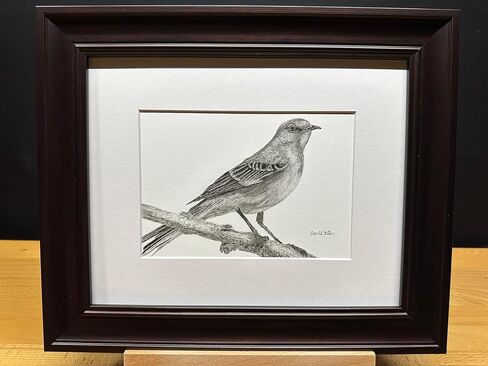 Mockingbird Bird Graphite Art Art Sketch رسم طباعة صورة محدودة بعنوان "هل سمعت" بقلم ديفيد ألين (8x10 إطار وطباعة) in Kuwait