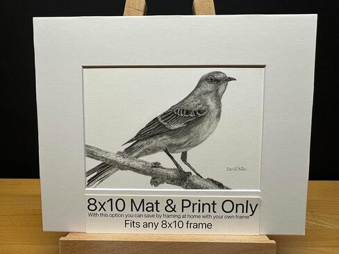 Mockingbird Bird Graphite Art Art Sketch رسم طباعة صورة محدودة بعنوان "هل سمعت" بقلم ديفيد ألين (8x10 إطار وطباعة) in Kuwait