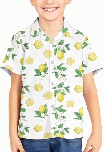 Boys Cute Hawaiian Shirts for Summer Vacation Comfy Short Sleeve V Neck Button Down Shirt Kids Beach Outfits in Kuwait