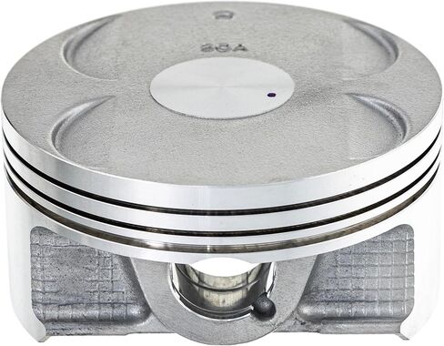 NICHE Stock Piston Gasket Spark Plug Kit for Polaris Predator 500 3087970 3089519 3087948 3089441 in Saudi Arabia
