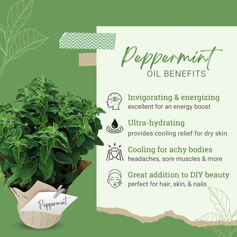GreenHealth Peppermint Essental Oil (Mentha Piperita) - 100 ٪ Pure & Uncut - 1 Gallon in Kuwait