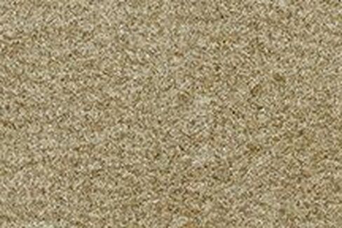 Automotive Carpet Compatible with 1978 to 1980 Chevrolet Corvette, Passenger Area (7075-Oyster Cut Pile) in Saudi Arabia