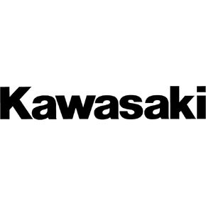 Kawasaki 920497022 Seal-Oil,Sd-40-55-8-L in Kuwait