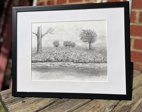 Original Charcoal Drawing of Landscape with Trees and Foliage, Framed in Saudi Arabia
