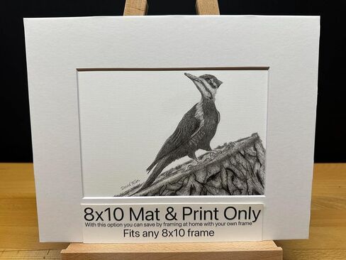 Woodpecker Bird Graphite Art Art Sketch رسم طباعة صورة محدودة بعنوان "Woodpecker" بقلم David Allen (11x14 Frame & Print) in Kuwait