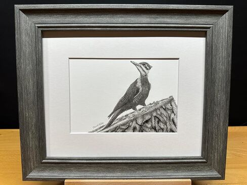 Woodpecker Bird Graphite Art Art Sketch رسم طباعة صورة محدودة بعنوان "Woodpecker" بقلم David Allen (11x14 Frame & Print) in Kuwait