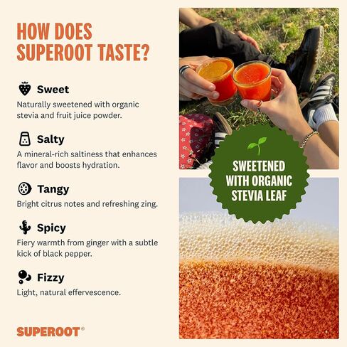 SUPEROOT® 100% طبيعي للتخلص من السموم وإلكتروليتات المناعة (الغازية) | نكهة الزنجبيل والحمضيات | فيتامين ج ومعادن المحيطات العميقة ومضادات الأكسدة | الطاقة والترطيب | 0 السكر المضاف | خالي من الكافيين | 30 حصة in Saudi Arabia