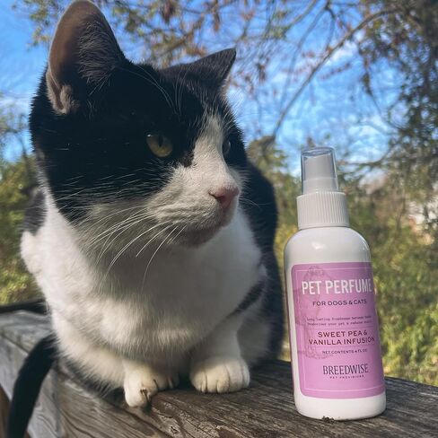 Dog Perfume Spray, Long-Lasting Dog Body Spray with Sweet Pea and Vanilla Infusion, Refreshing Mist, 8 fl oz in Saudi Arabia