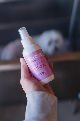 Dog Perfume Spray, Long-Lasting Dog Body Spray with Sweet Pea and Vanilla Infusion, Refreshing Mist, 8 fl oz in Saudi Arabia