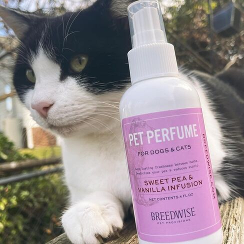 Dog Perfume Spray, Long-Lasting Dog Body Spray with Sweet Pea and Vanilla Infusion, Refreshing Mist, 8 fl oz in Saudi Arabia