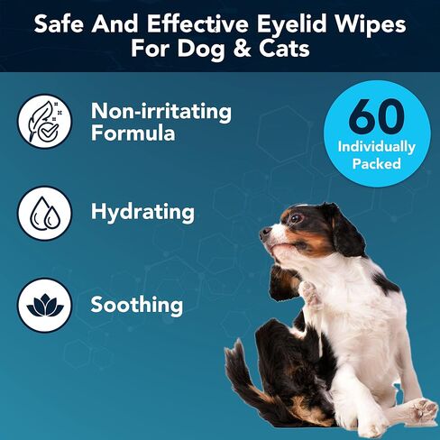 NOVEHA SilverLID Pet Face Wash for Dogs and Cats with Chelated Silver | 2 fl. oz in Kuwait