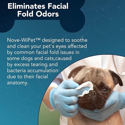 NOVEHA SilverLID Pet Face Wash for Dogs and Cats with Chelated Silver | 2 fl. oz in Kuwait