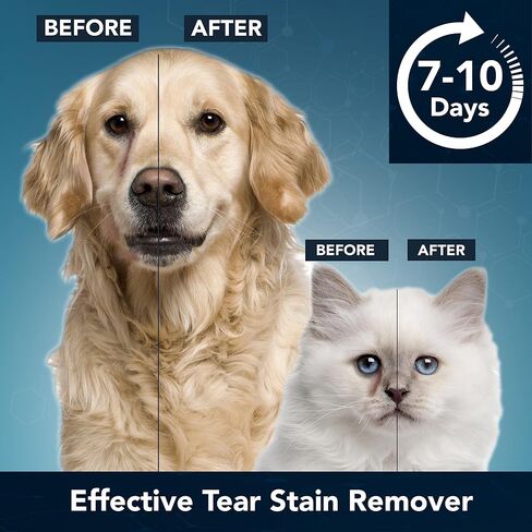 NOVEHA SilverLID Pet Face Wash for Dogs and Cats with Chelated Silver | 2 fl. oz in Kuwait