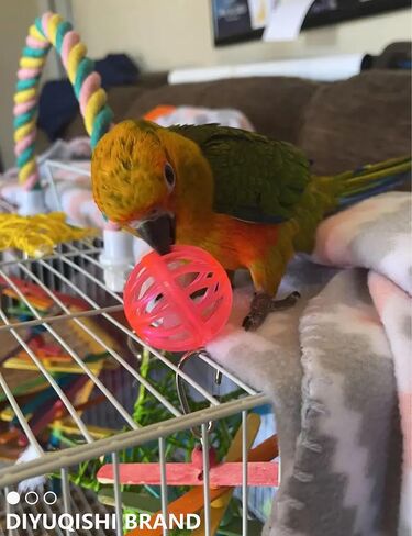 Bird Toy Set with Natural Rattan Balls Plastic Bell Balls for Parrots Safe Materials Encourages Play Perfect for Cage Home Decoration in Saudi Arabia