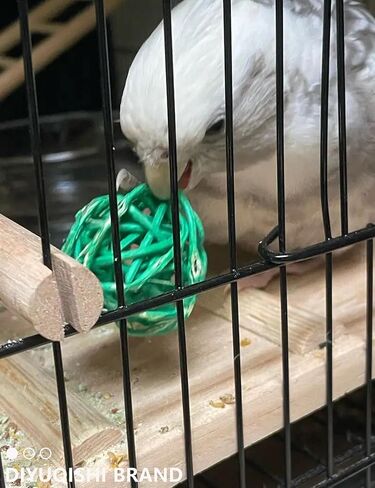 Bird Toy Set with Natural Rattan Balls Plastic Bell Balls for Parrots Safe Materials Encourages Play Perfect for Cage Home Decoration in Saudi Arabia