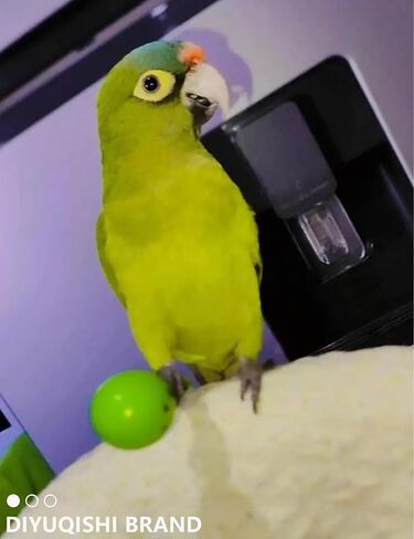 Bird Toy Set with Natural Rattan Balls Plastic Bell Balls for Parrots Safe Materials Encourages Play Perfect for Cage Home Decoration in Saudi Arabia