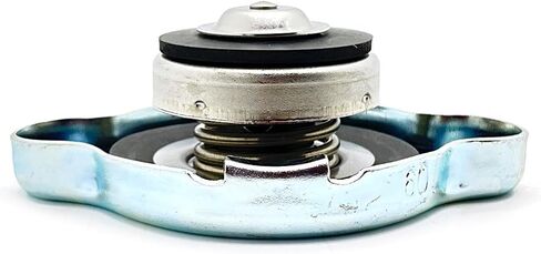 Polaris RZR Cap, Genuine OEM Part 1240694, Qty 1 in Saudi Arabia