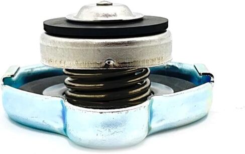 Polaris RZR Cap, Genuine OEM Part 1240694, Qty 1 in Saudi Arabia