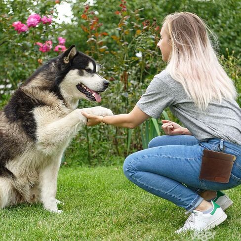 أكياس علاج الكلاب لتدريب الحيوانات الأليفة، حقيبة علاج الكلاب بإغلاق مغناطيسي، حقيبة علاج تدريب الجراء، مع أداة نقر وصفارة لتدريب الحيوانات الأليفة 2 في 1 (بني، عبوة واحدة) in Kuwait