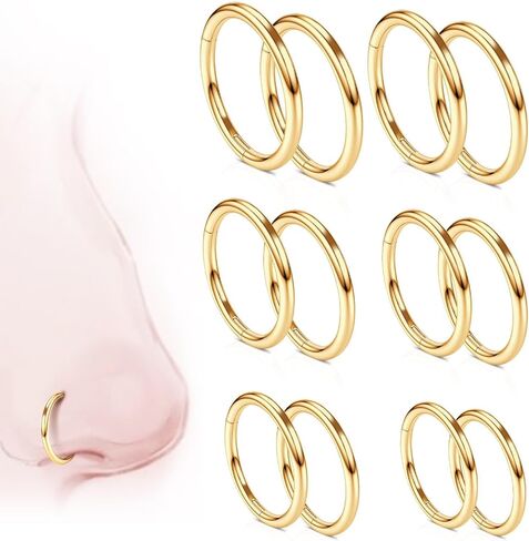 5/12 Pcs Nose Rings Hoop Set: 14G 16G 18G 20G Surgical Steel Body Piercing Jewelry 6mm-12mm Hypoallergenic Piercing Hoops Cartilage Earrings in Saudi Arabia