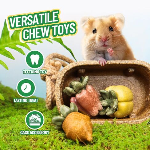 Nibble Peapods Small Animal Chew Toy 3 PCs Hamster Chinchilla Gerbil Guinea Pig Toy for Teeth Grinding Boredom Breaker in Saudi Arabia