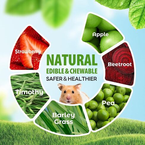 Nibble Peapods Small Animal Chew Toy 3 PCs Hamster Chinchilla Gerbil Guinea Pig Toy for Teeth Grinding Boredom Breaker in Saudi Arabia