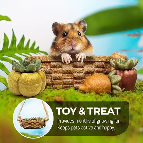 Nibble Peapods Small Animal Chew Toy 3 PCs Hamster Chinchilla Gerbil Guinea Pig Toy for Teeth Grinding Boredom Breaker in Saudi Arabia