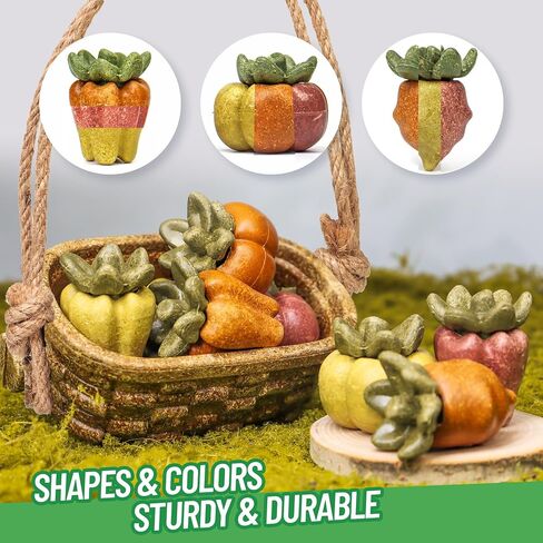 Nibble Peapods Small Animal Chew Toy 3 PCs Hamster Chinchilla Gerbil Guinea Pig Toy for Teeth Grinding Boredom Breaker in Saudi Arabia