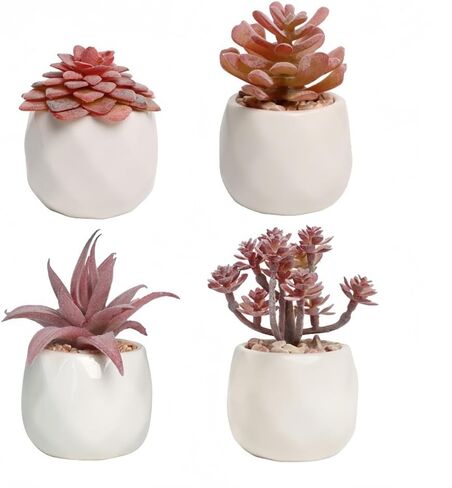 4 Pack Mini Succulents Plants Artificial Fake Succulents Pots Faux Succulents Ceramic Plants Potted for Home Decorations Garden Decor (Red) in Kuwait