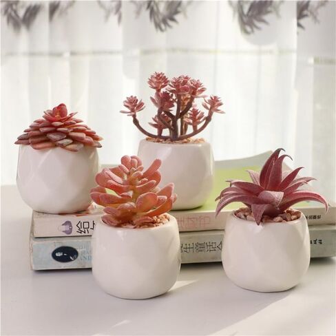 4 Pack Mini Succulents Plants Artificial Fake Succulents Pots Faux Succulents Ceramic Plants Potted for Home Decorations Garden Decor (Red) in Kuwait