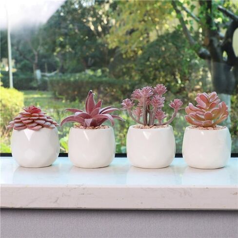 4 Pack Mini Succulents Plants Artificial Fake Succulents Pots Faux Succulents Ceramic Plants Potted for Home Decorations Garden Decor (Red) in Kuwait