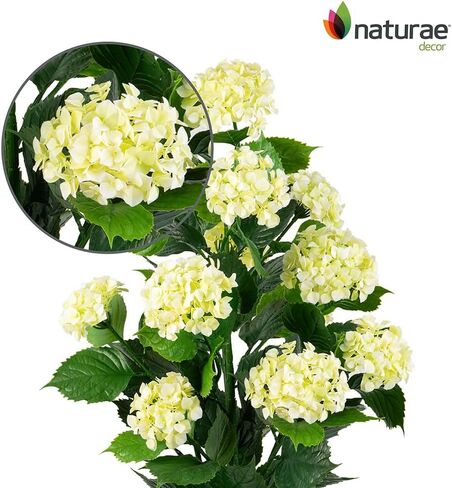 شجرة الكوبية الوردية من Naturae Decor - شجرة زهور صناعية داخلية وخارجية نابضة بالحياة - مقاومة للأشعة فوق البنفسجية - ارتفاع 91.48 سم in Kuwait