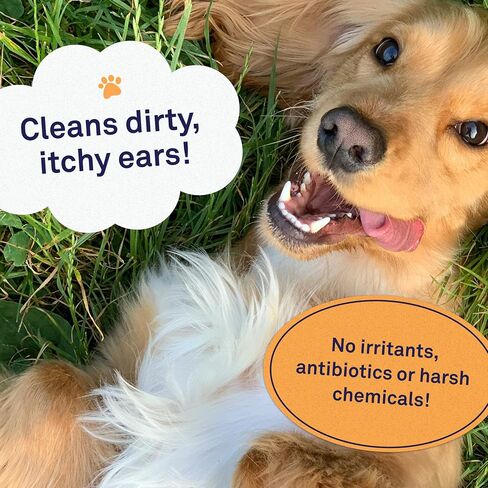 Petpost | Dog Ear Cleaner - Natural Coconut Oil Solution - Best Remedy for Odor - Dog Ear Problems - Chemical & Irritant Free 8 oz. in Saudi Arabia